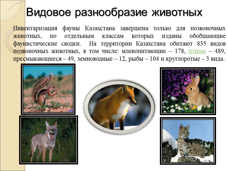 Инвентаризация фауны Казахстана завершена только для позвоночных животных, по отдельным классам которых изданы обобщающие